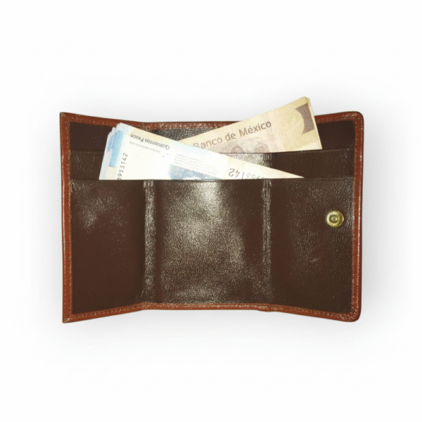 Cartera y monedero liso para dama